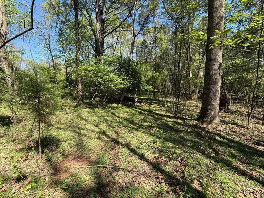 0 Panhandler Circle Maysville, GA 30558 - Photo 7 of 8 a view of outdoor space and a yard