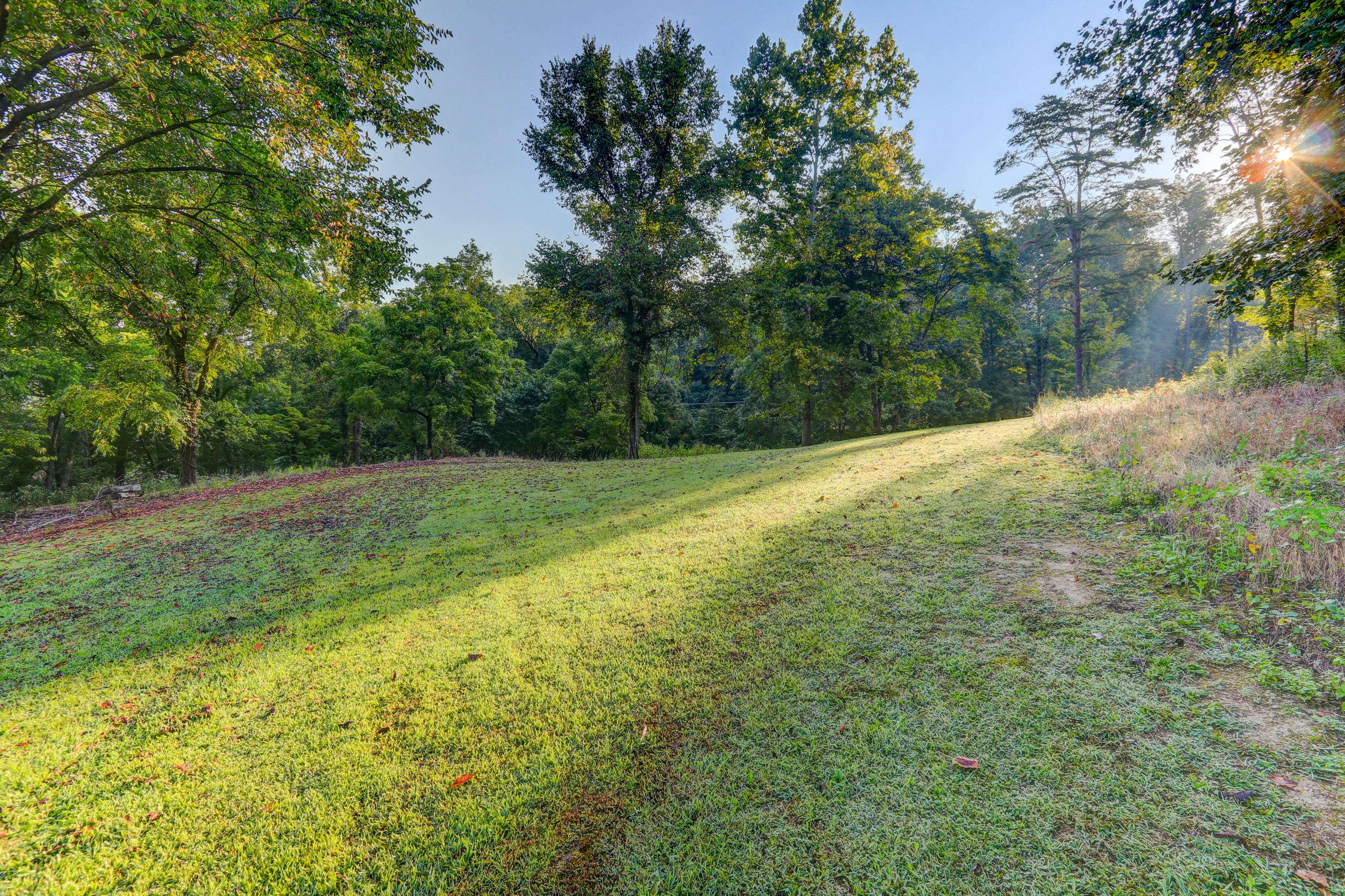 Asbury Road Jacksboro, TN 37757 - Photo 6 of 21 Plenty of Shade Trees