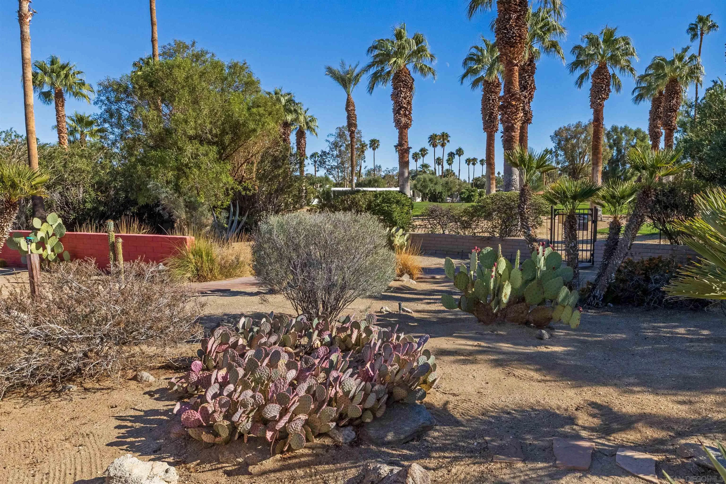 119 Montezuma Road Borrego Springs, CA 92004 - Photo 43 of 47 a view of a yard with palm tree