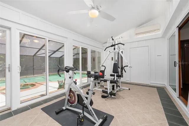 a view of a park with a tree