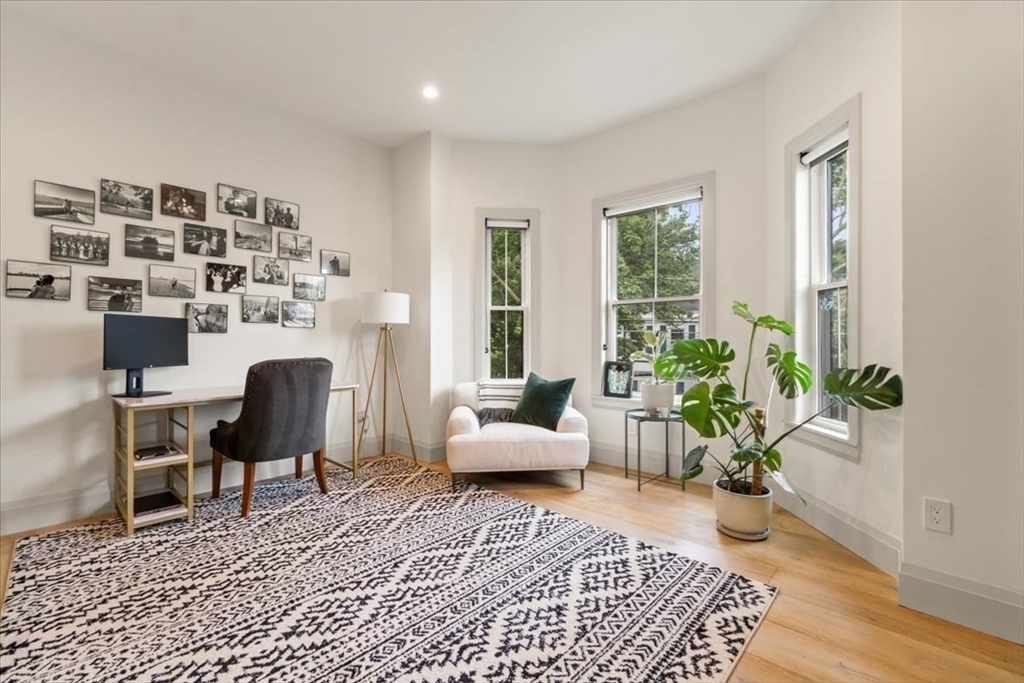 3 Adrian Street, Unit 3 Somerville, MA 02143 - Photo 19 of 31 a living room with furniture and a potted plant