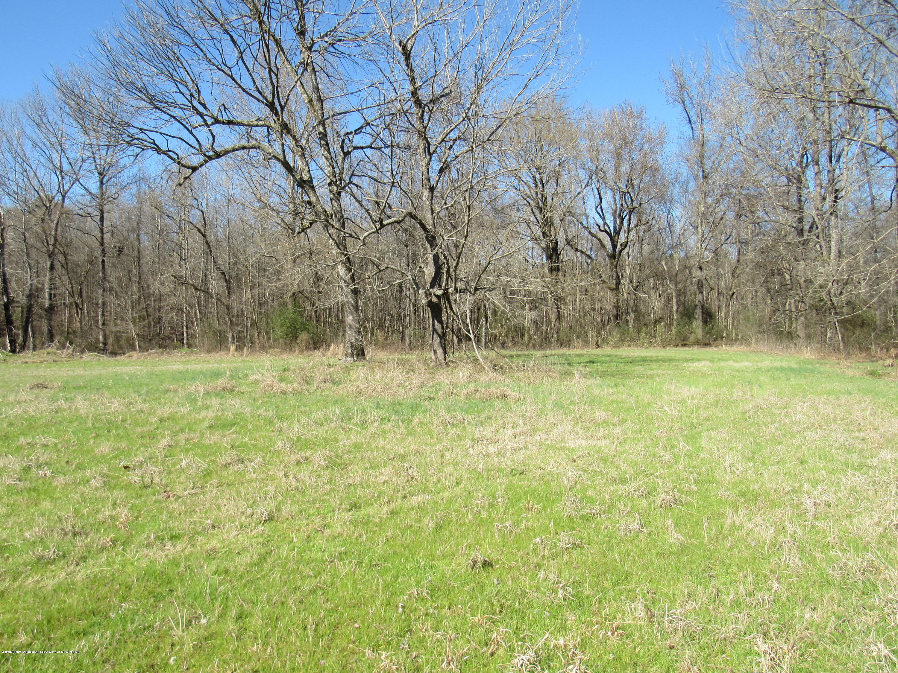 11 Co Road Taylor, MS 38673 - Photo 1 of 19 IMG_2580