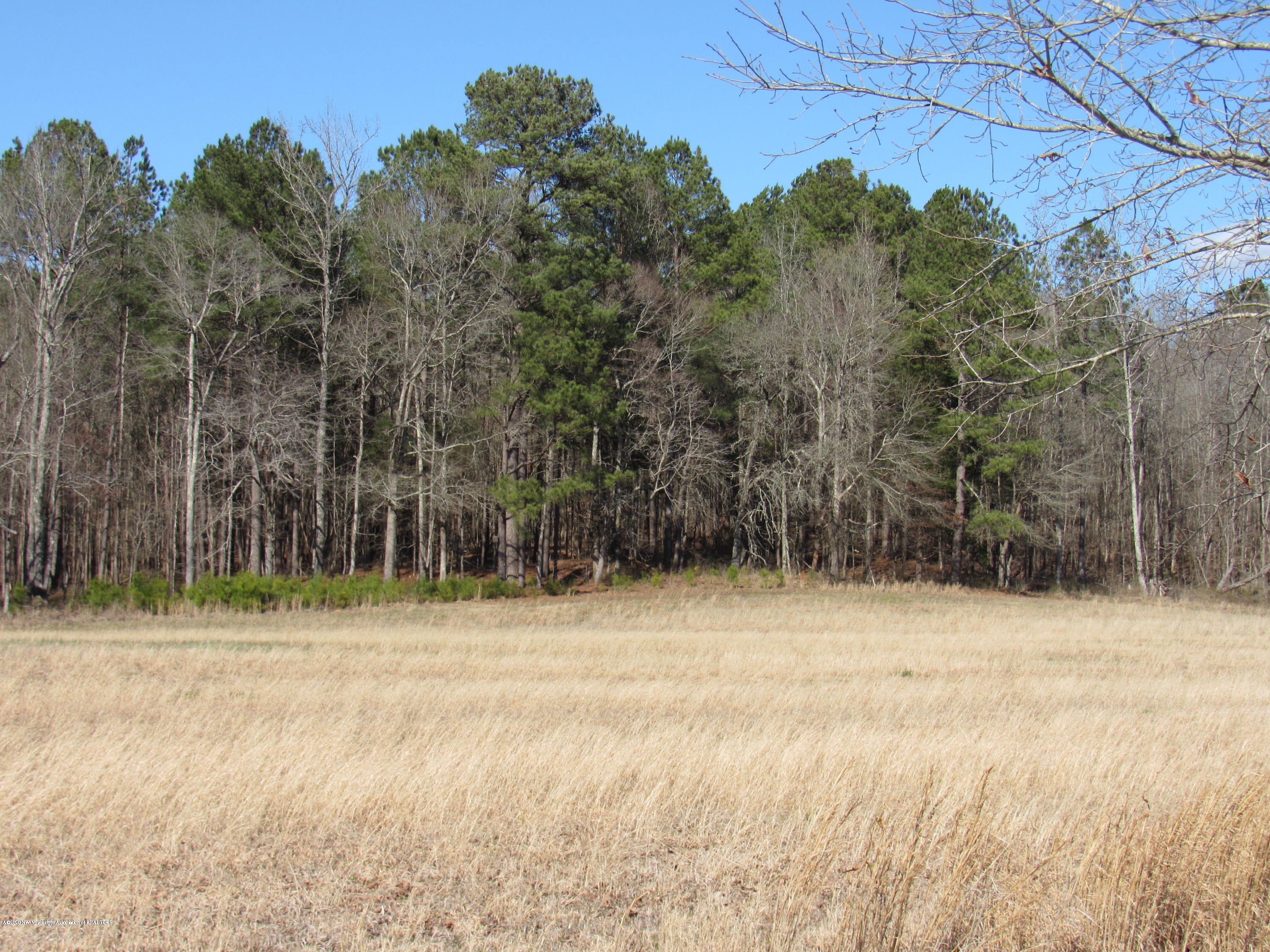 11 Co Road Taylor, MS 38673 - Photo 11 of 19 IMG_2599
