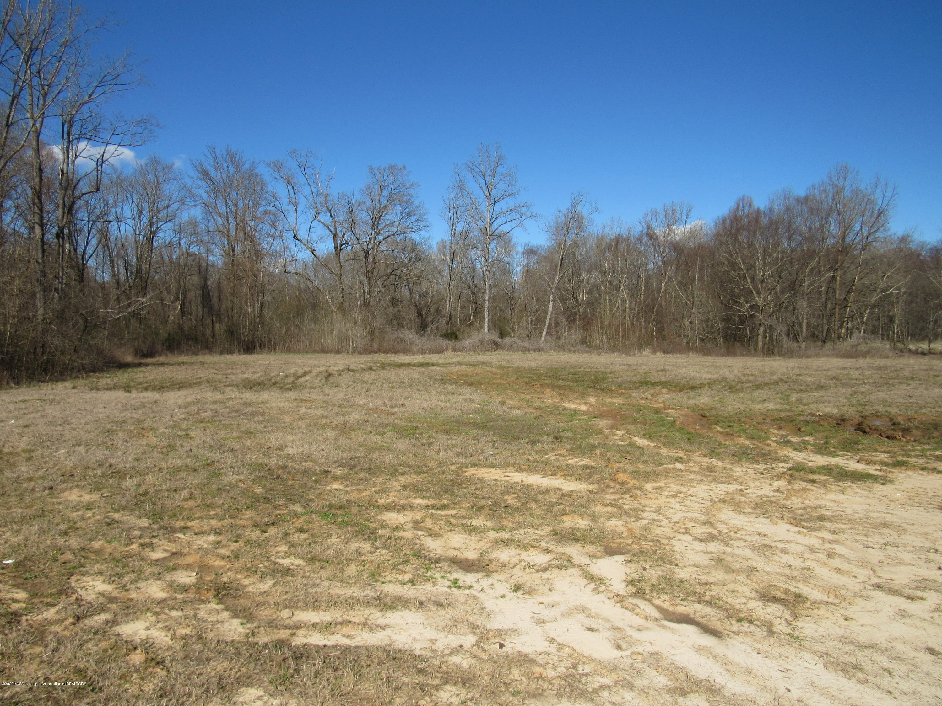 11 Co Road Taylor, MS 38673 - Photo 14 of 19 IMG_2603