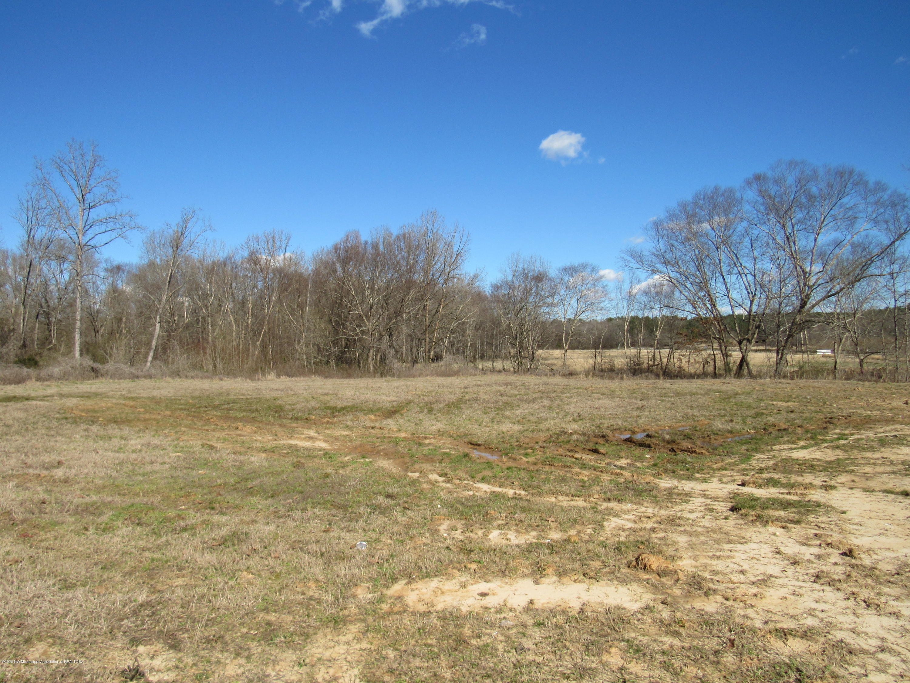 11 Co Road Taylor, MS 38673 - Photo 15 of 19 IMG_2604