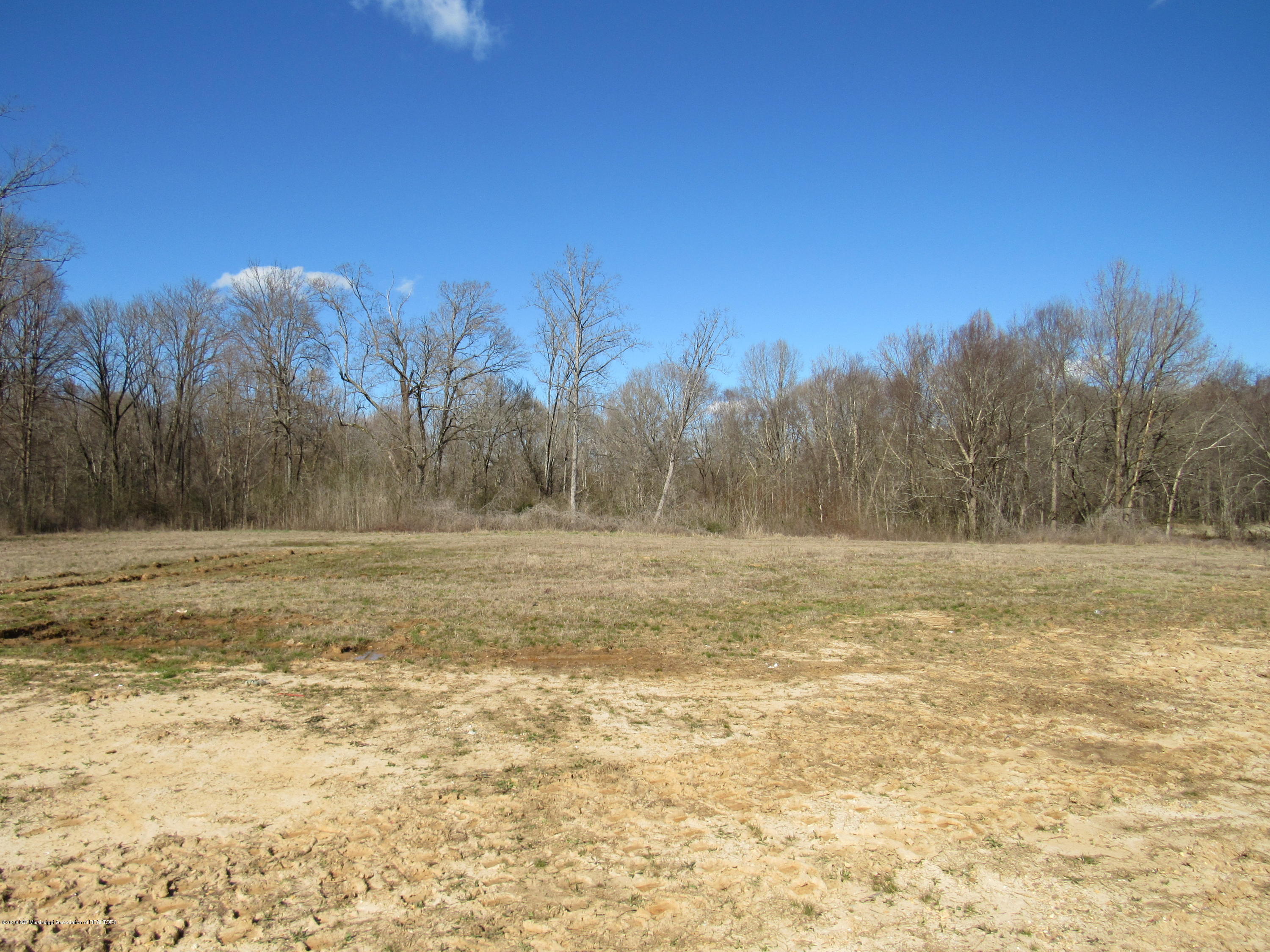 11 Co Road Taylor, MS 38673 - Photo 16 of 19 IMG_2605