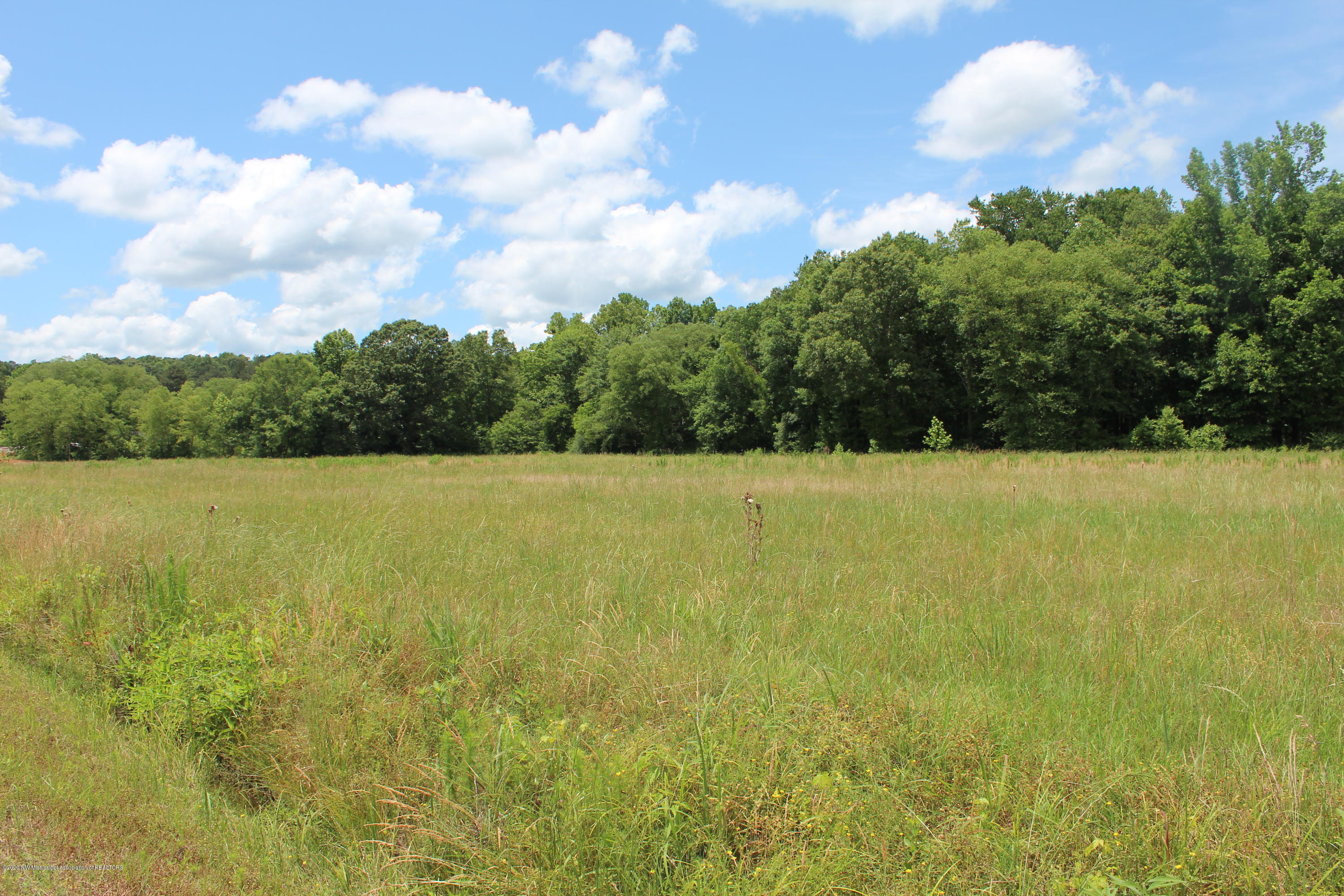 11 Co Road Taylor, MS 38673 - Photo 18 of 19 IMG_3705