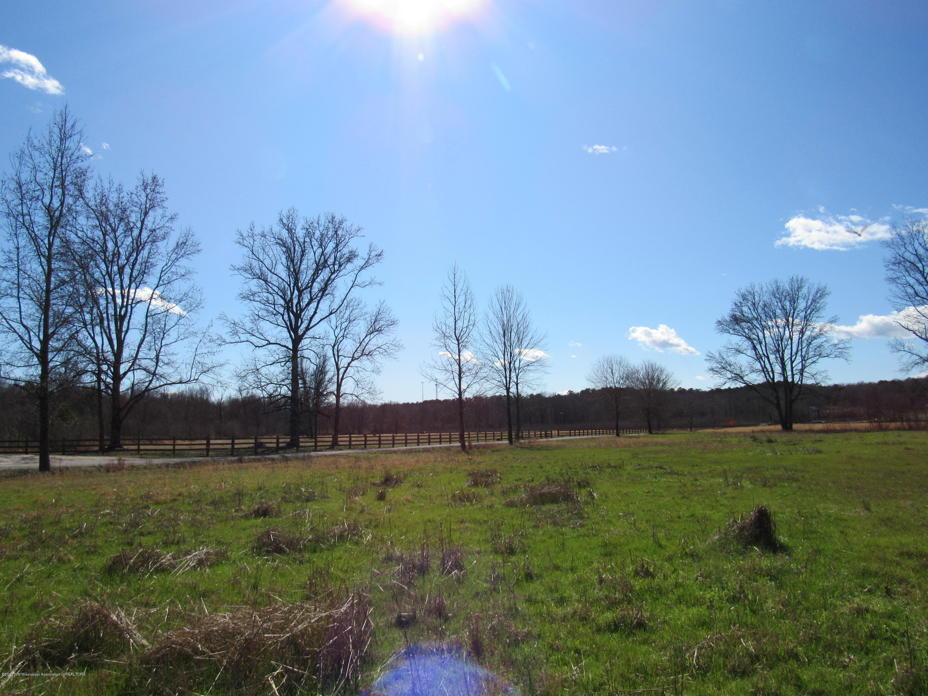 11 Co Road Taylor, MS 38673 - Photo 2 of 19 IMG_2581