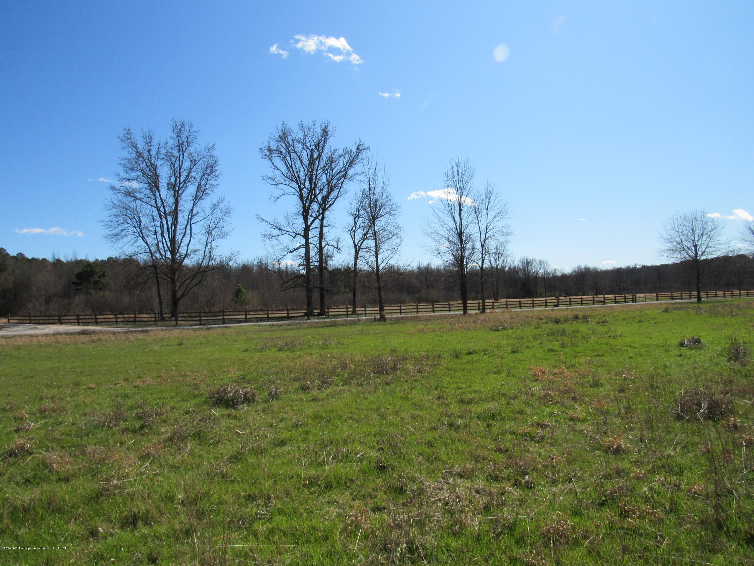 11 Co Road Taylor, MS 38673 - Photo 3 of 19 IMG_2582