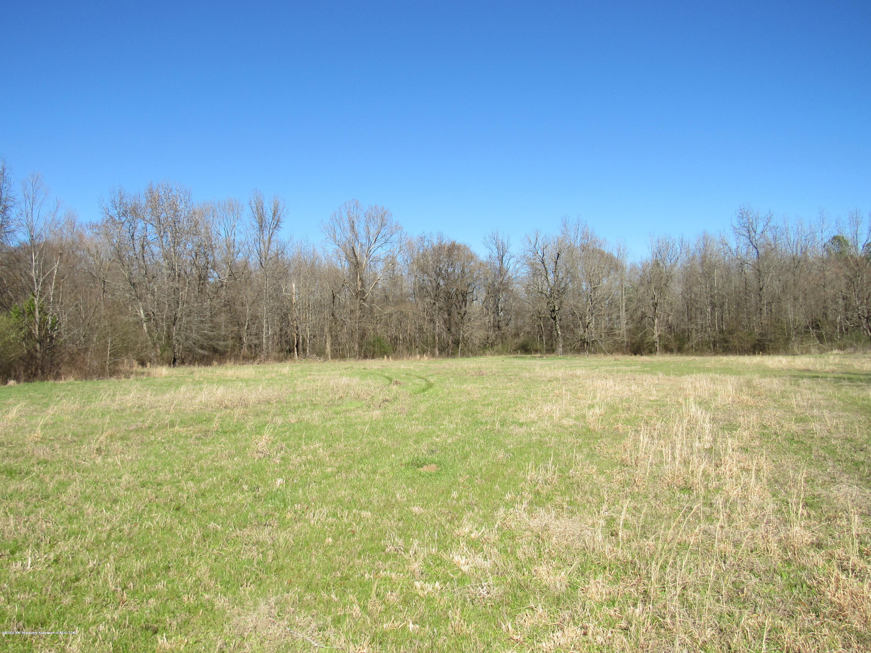 11 Co Road Taylor, MS 38673 - Photo 4 of 19 IMG_2583