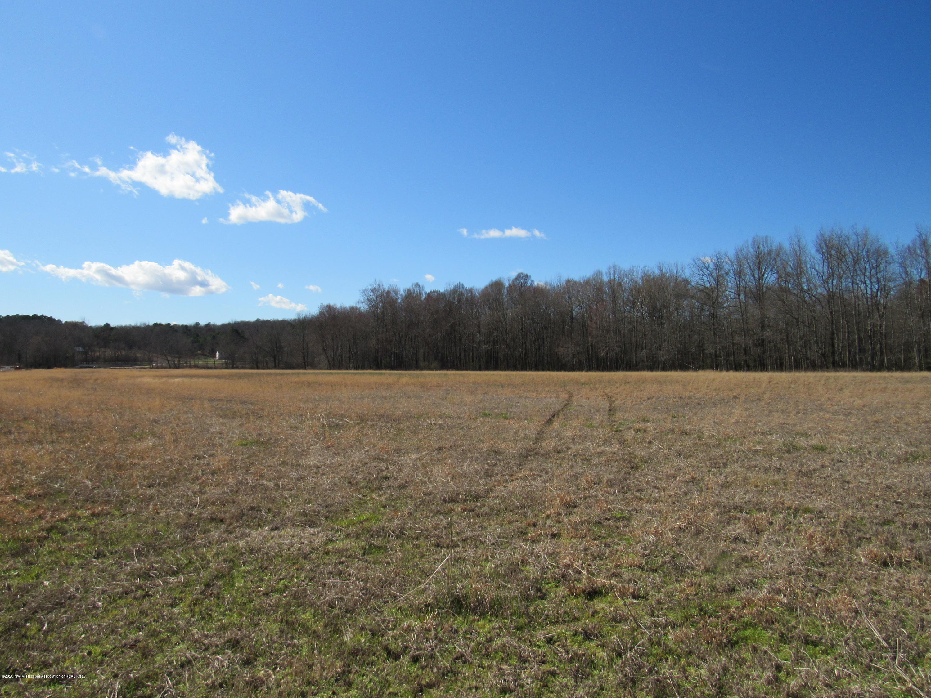 11 Co Road Taylor, MS 38673 - Photo 5 of 19 IMG_2584