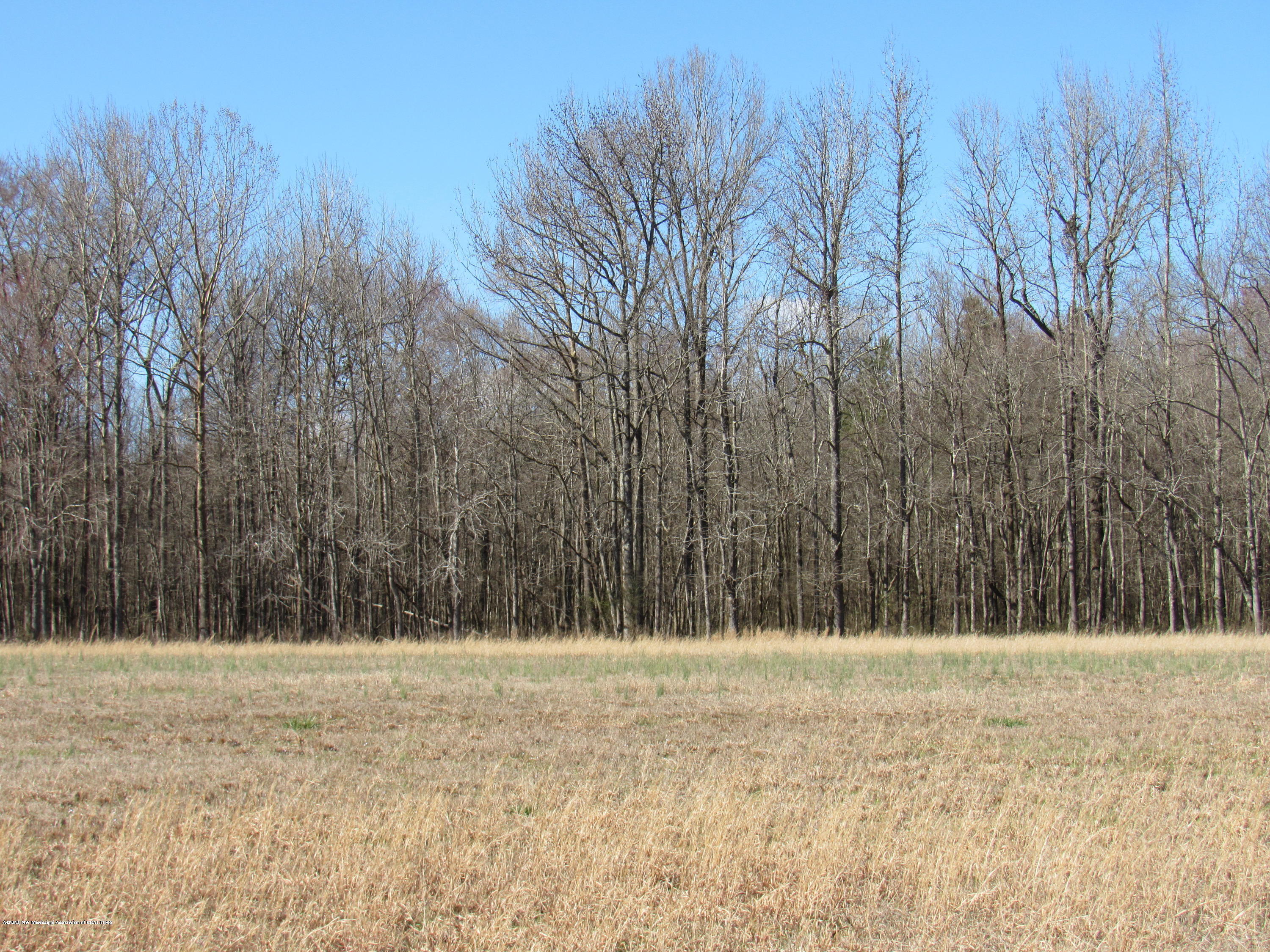 11 Co Road Taylor, MS 38673 - Photo 6 of 19 IMG_2592