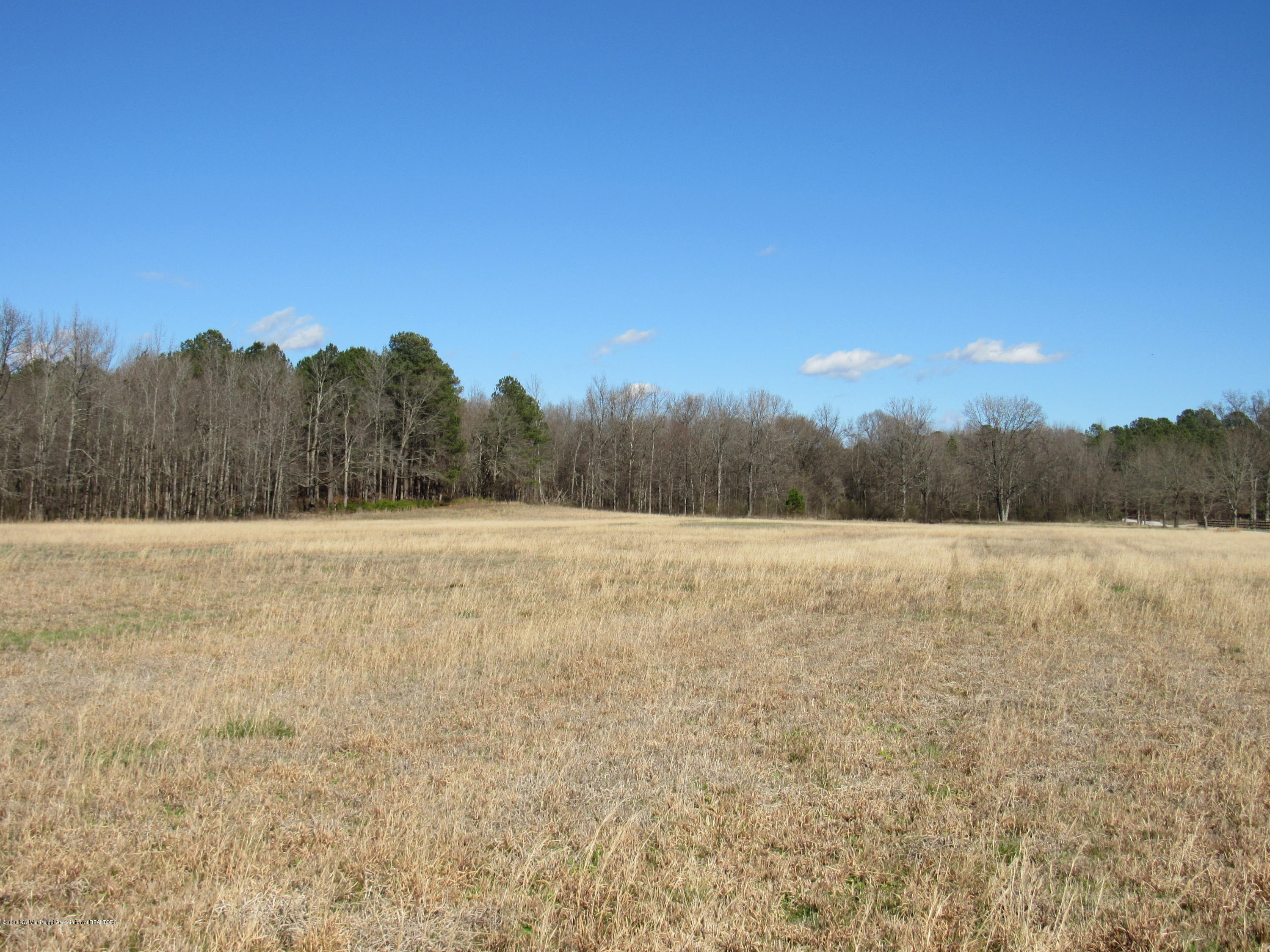 11 Co Road Taylor, MS 38673 - Photo 7 of 19 IMG_2594