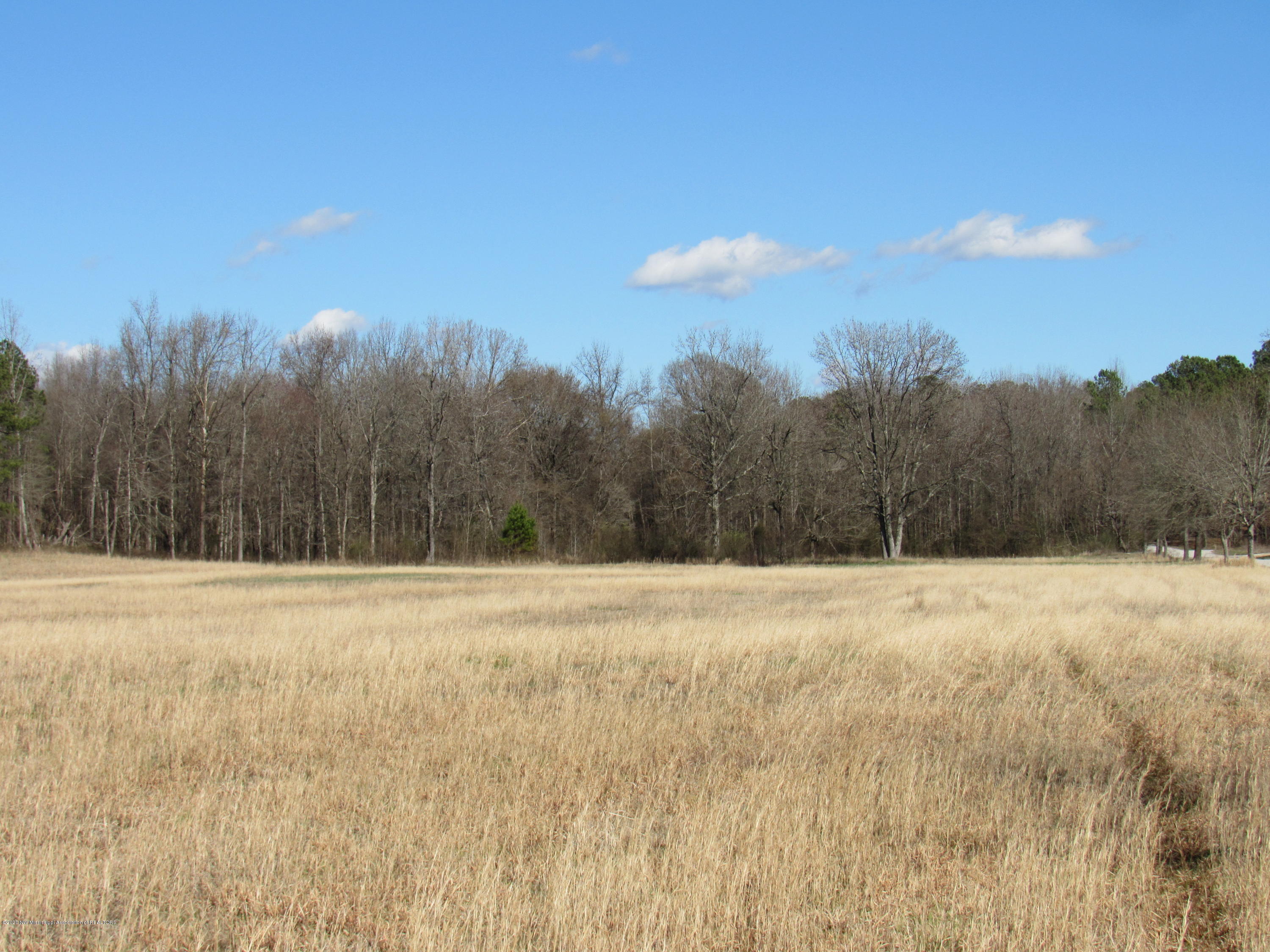 11 Co Road Taylor, MS 38673 - Photo 8 of 19 IMG_2595