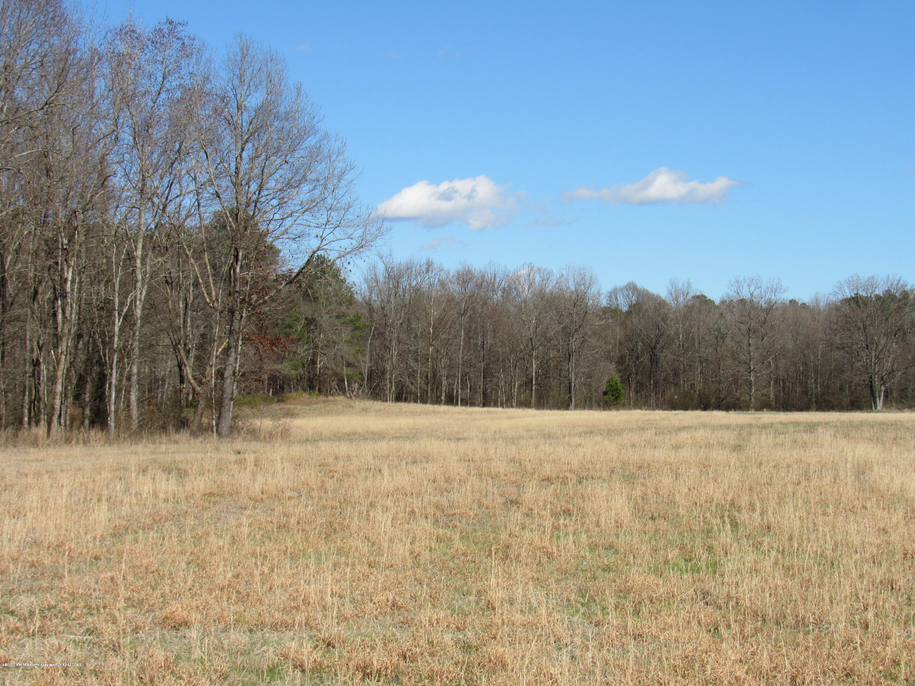11 Co Road Taylor, MS 38673 - Photo 9 of 19 IMG_2596