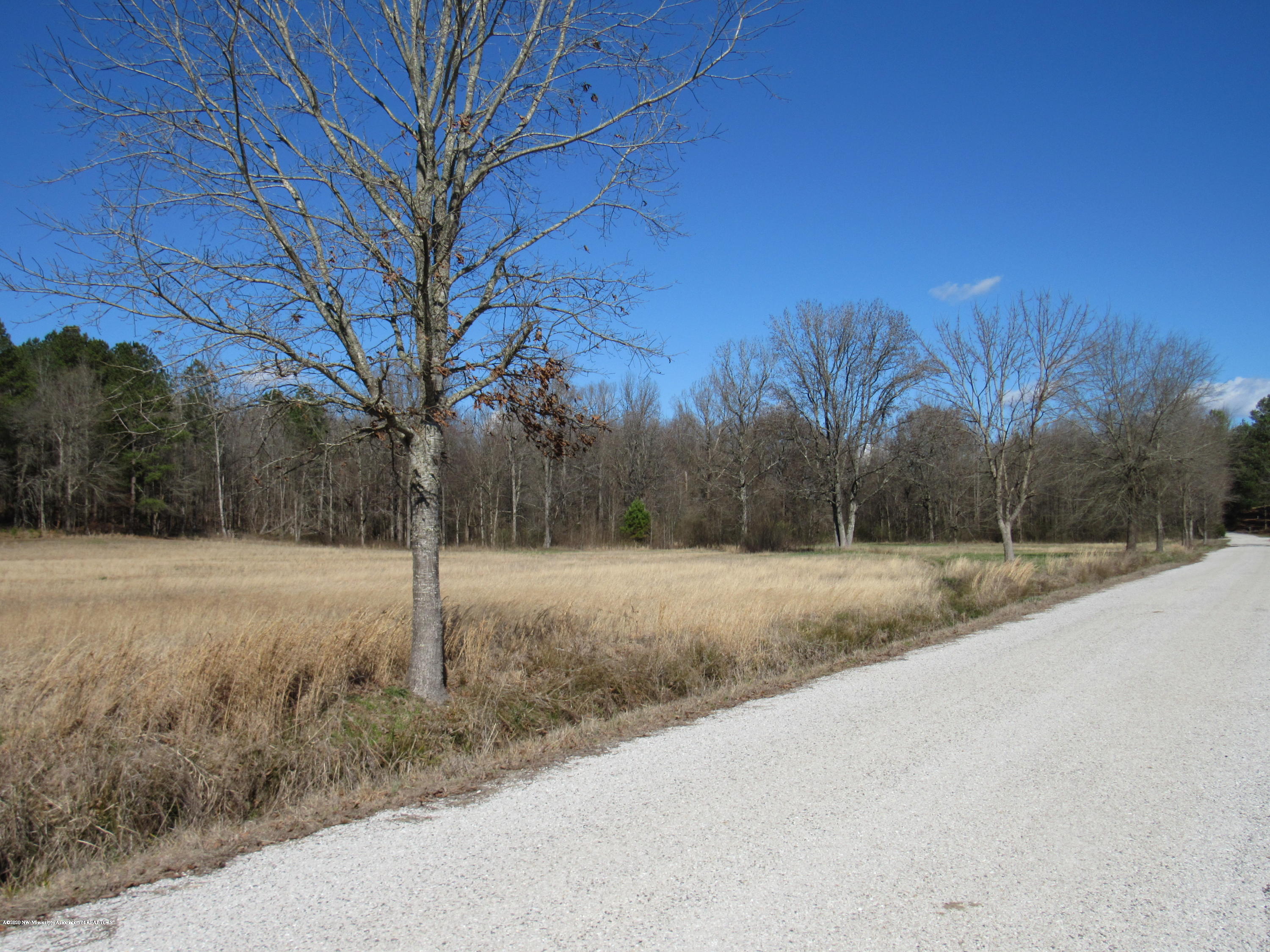 11 Co Road Taylor, MS 38673 - Photo 10 of 19 IMG_2597