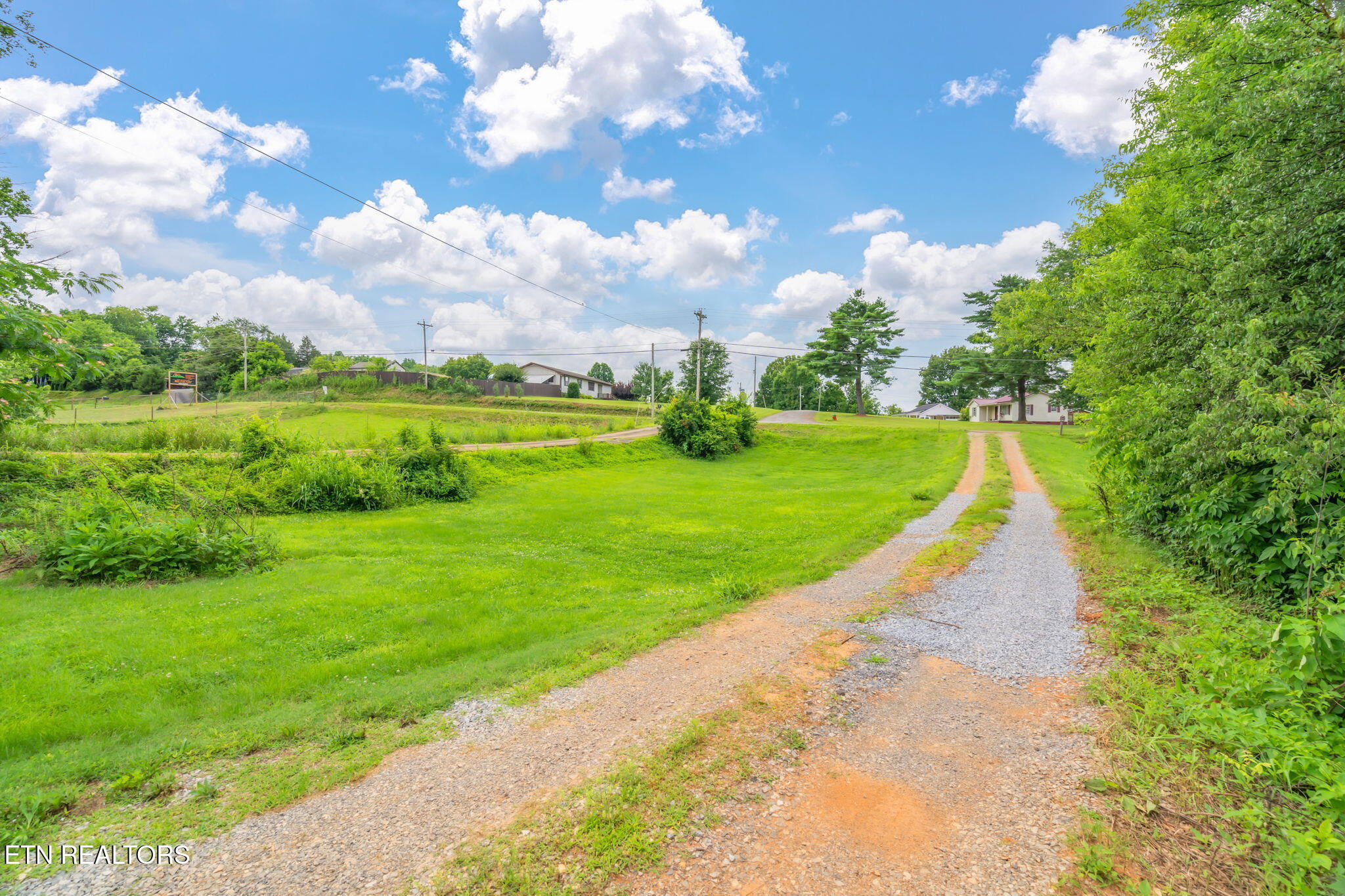 555 North Trigonia Road Greenback, TN 37742 - Photo 6 of 41 6-web-or-mls-555 N. Trigonia Road-7