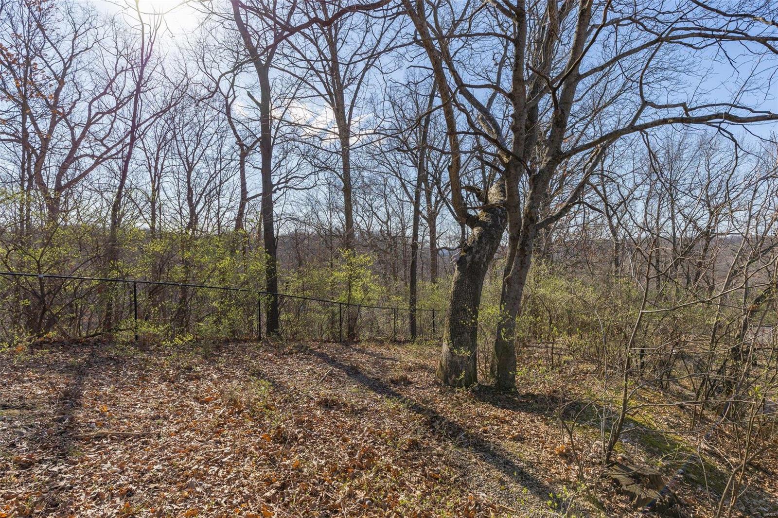 3754 Rim Road Imperial, MO 63052 - Photo 37 of 43