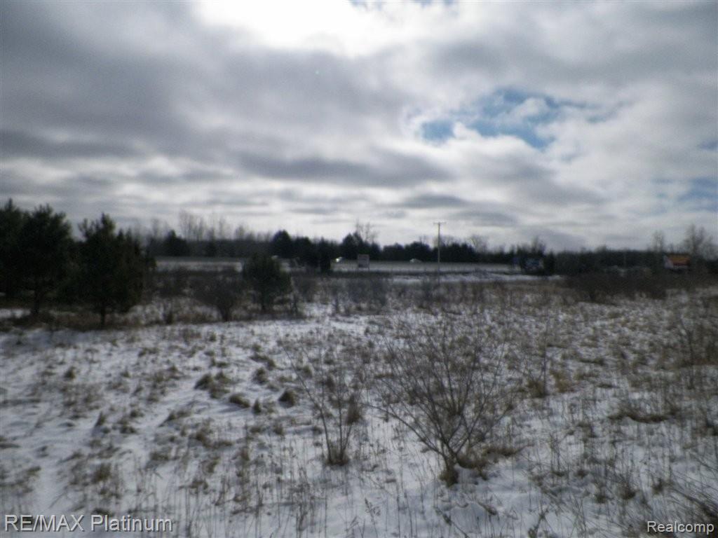 V/l West Willard Road Birch Run, MI 48415 - Photo 11 of 19 100_1484.JPG