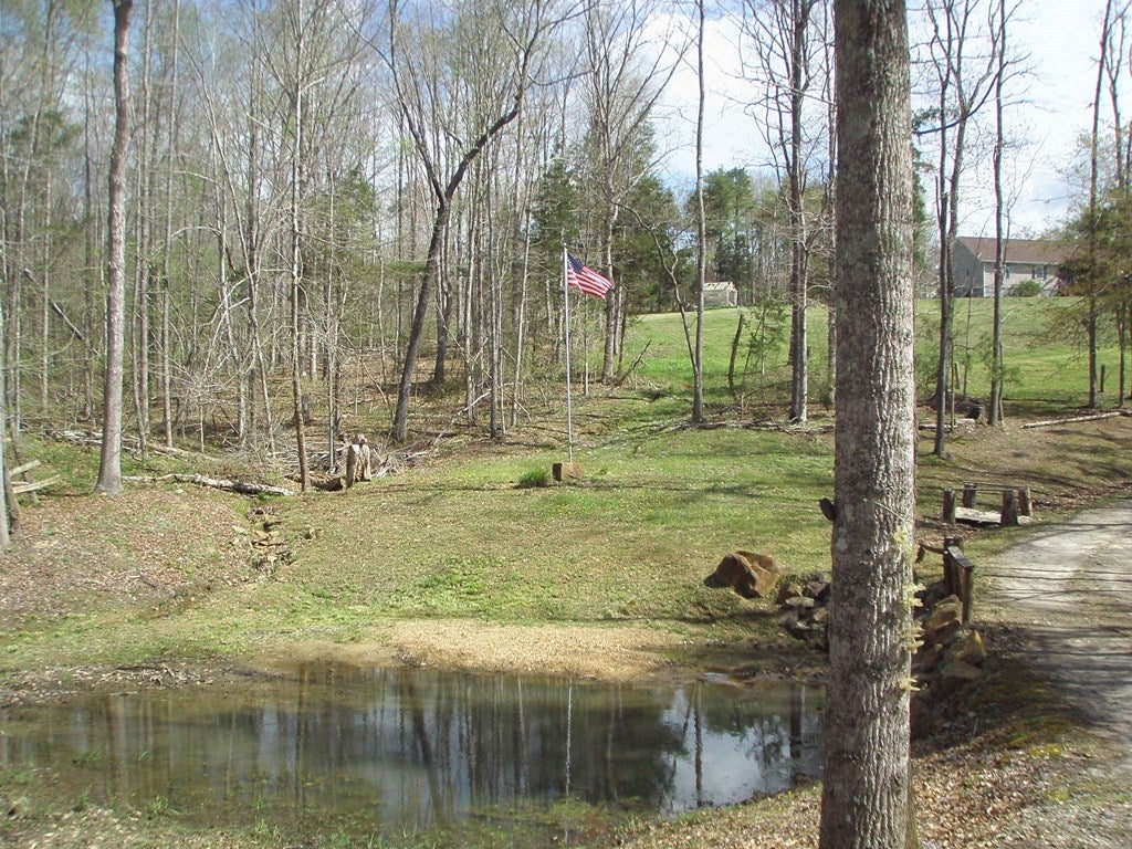 3744 Meherrin Road Meherrin, VA 23954 - Photo 26 of 40 Gallery Image 26