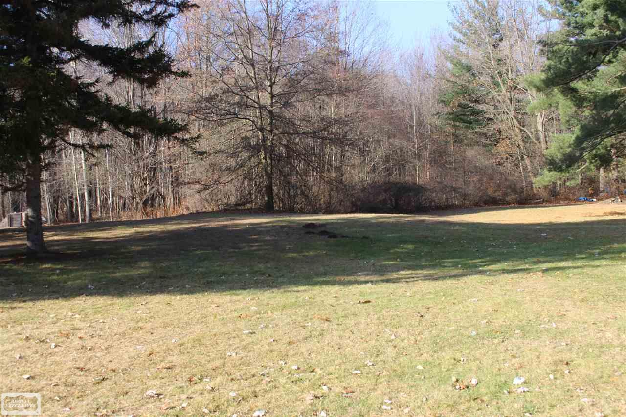 8670 Marsh Road Algonac, MI 48001 - Photo 11 of 12 Back Yard