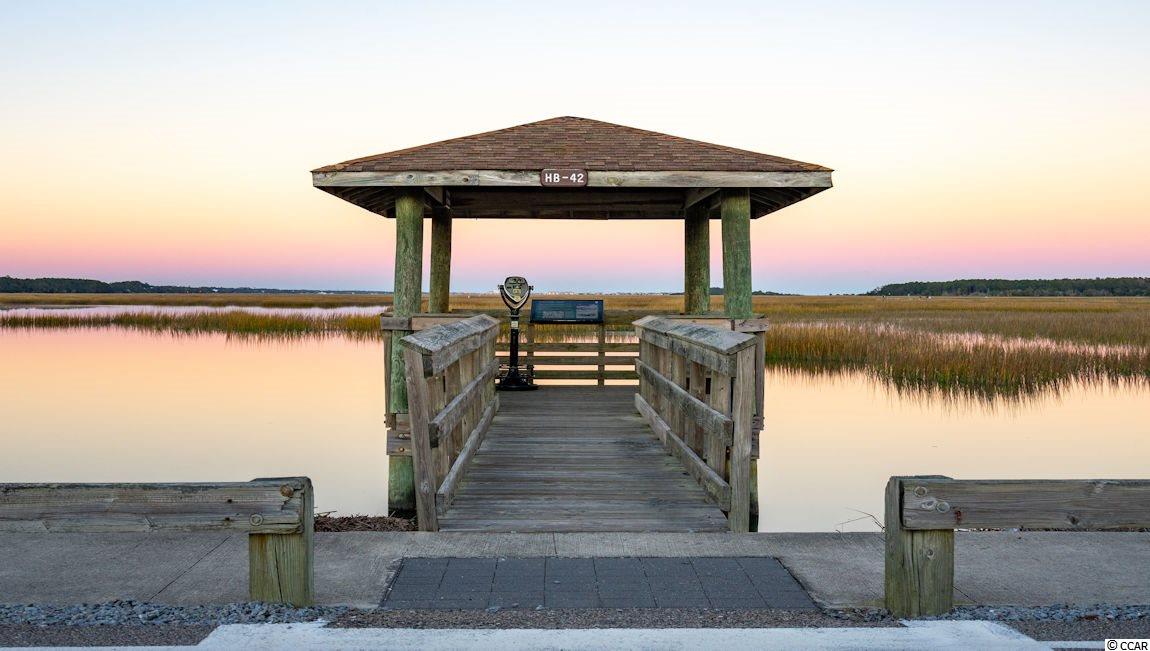 158 Sea Shell Drive, Unit 17 Murrells Inlet, SC 29576 - Photo 29 of 36