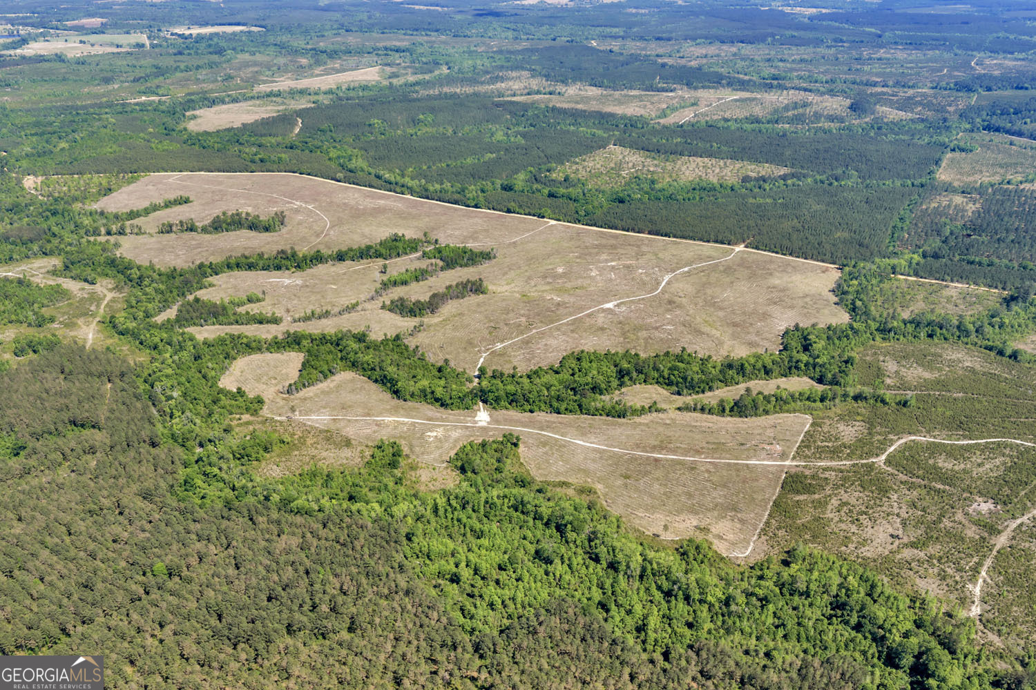 0 Cedar Grove Lots Road Dublin, GA 31021 - Photo 2 of 9