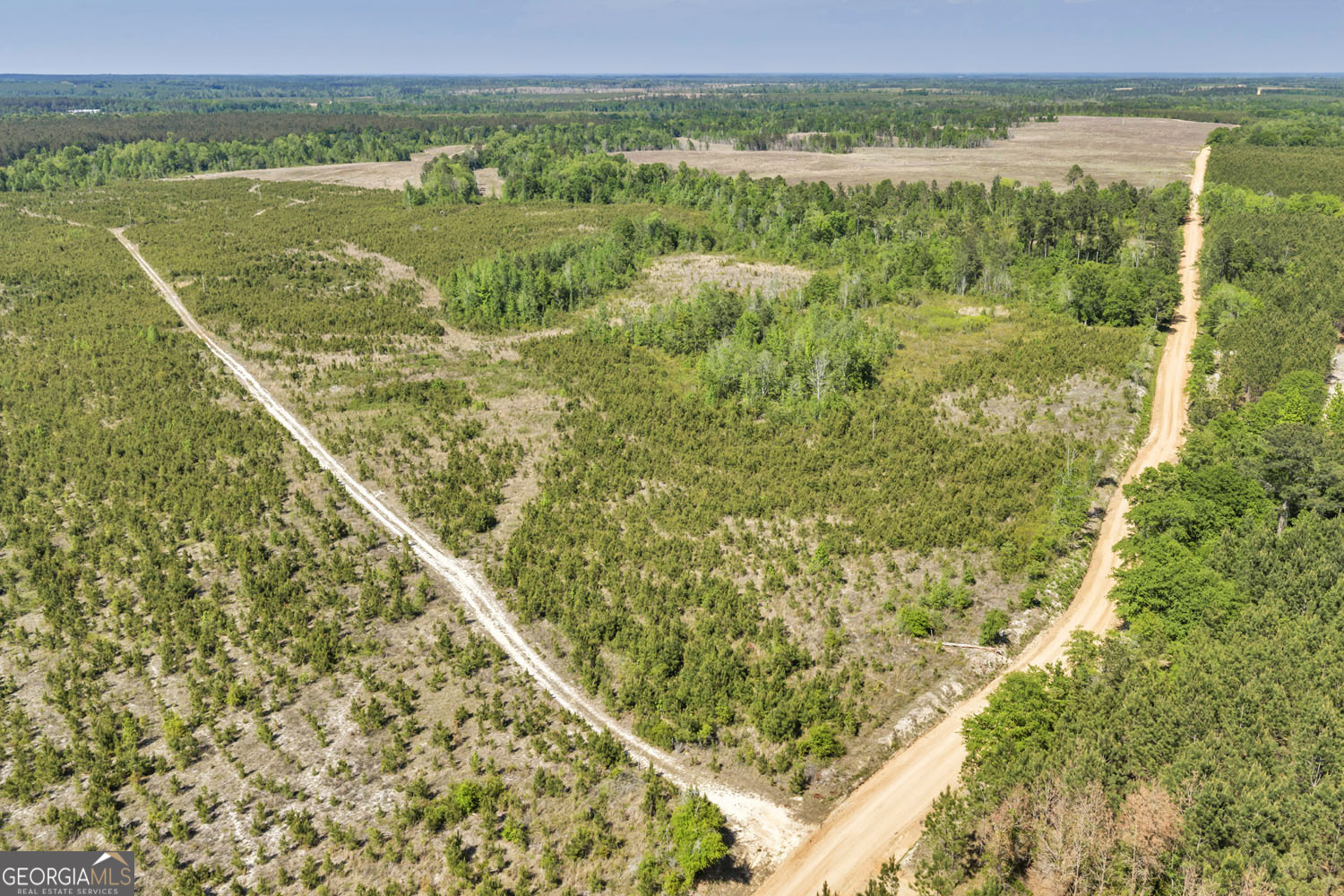 0 Cedar Grove Lots Road Dublin, GA 31021 - Photo 4 of 9