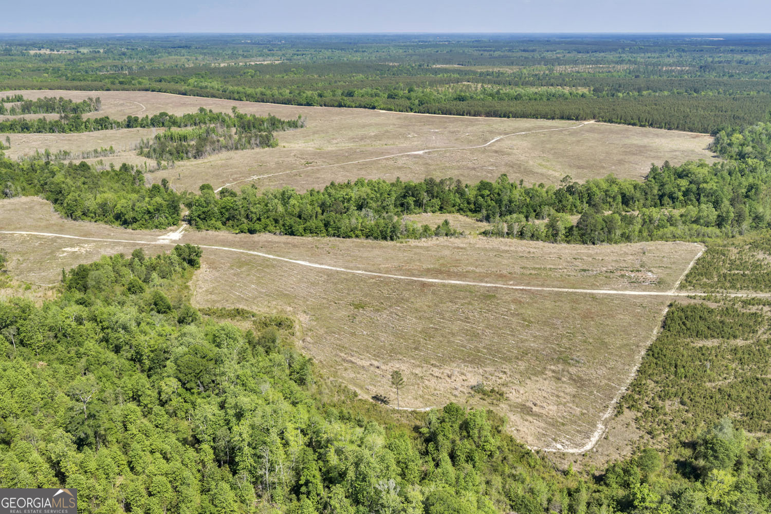 0 Cedar Grove Lots Road Dublin, GA 31021 - Photo 6 of 9