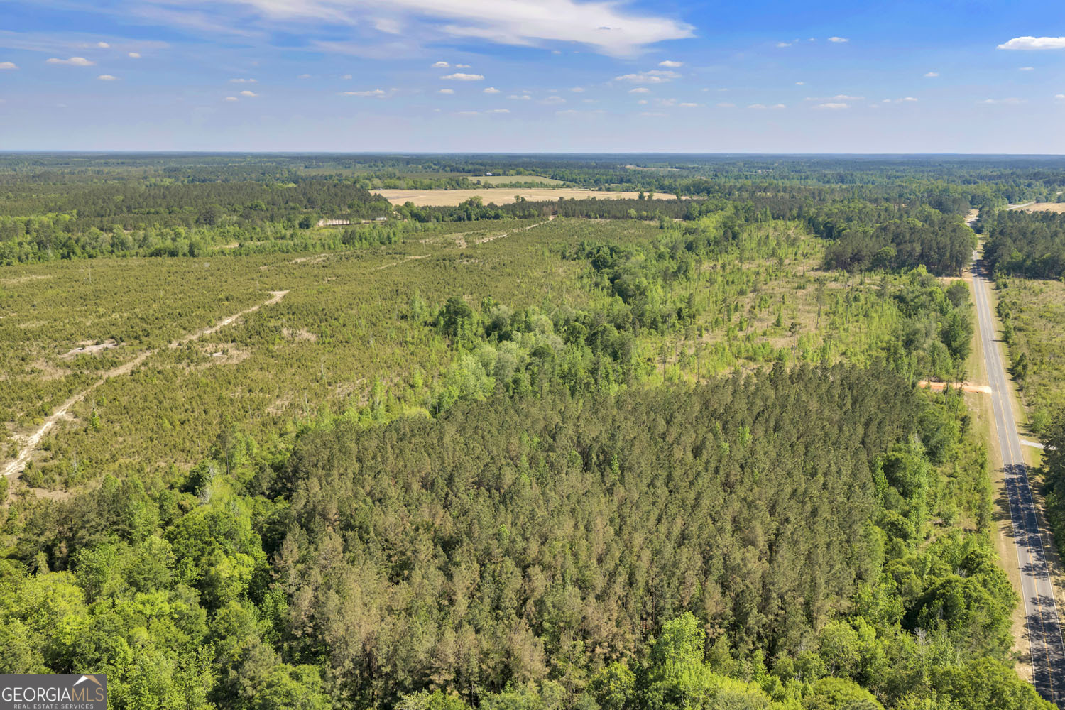 0 Cedar Grove Lots Road Dublin, GA 31021 - Photo 7 of 9