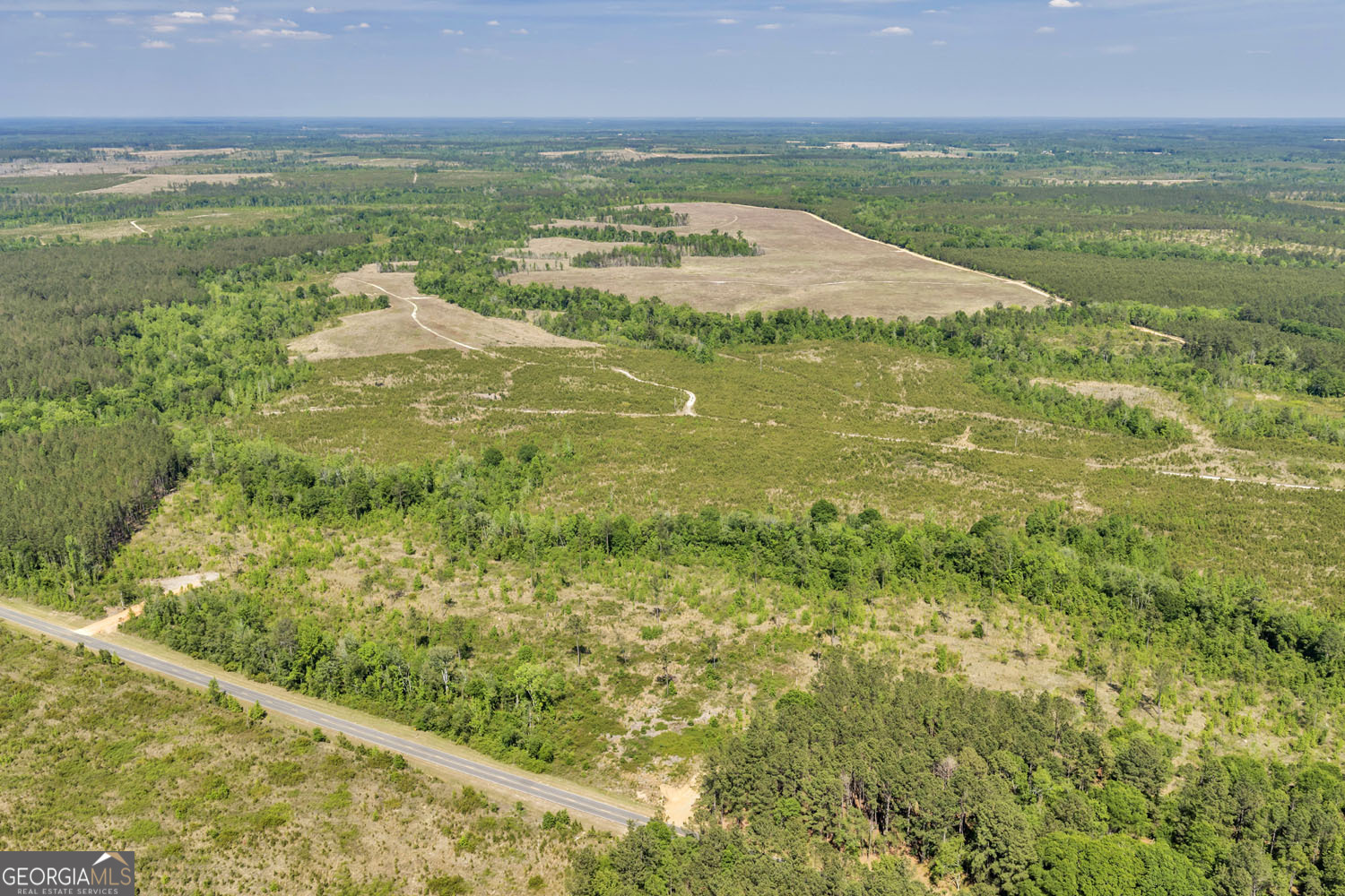 0 Cedar Grove Lots Road Dublin, GA 31021 - Photo 8 of 9