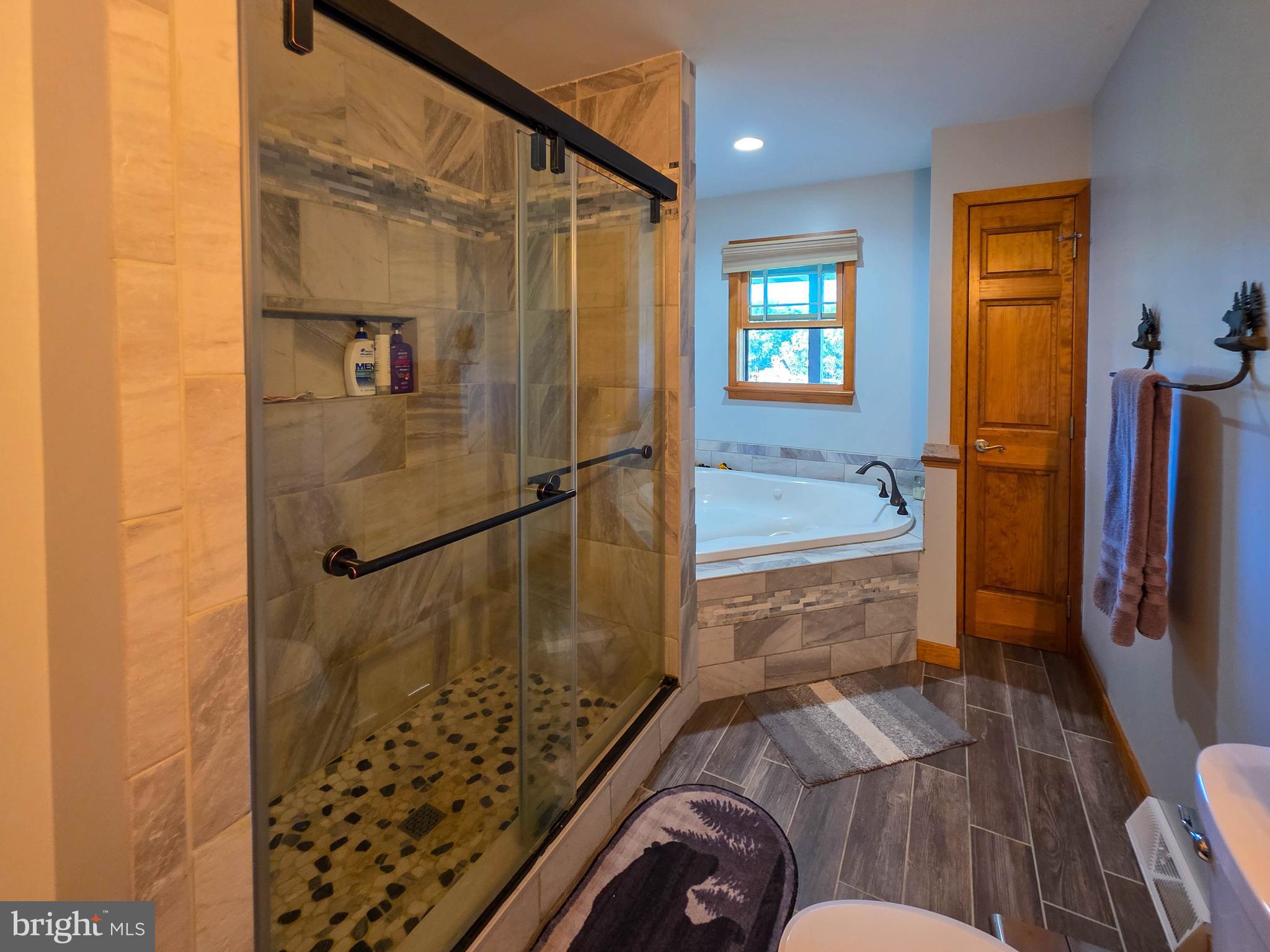 14637 Bain Road Hancock, MD 21750 - Photo 30 of 89 Jet tub and shower