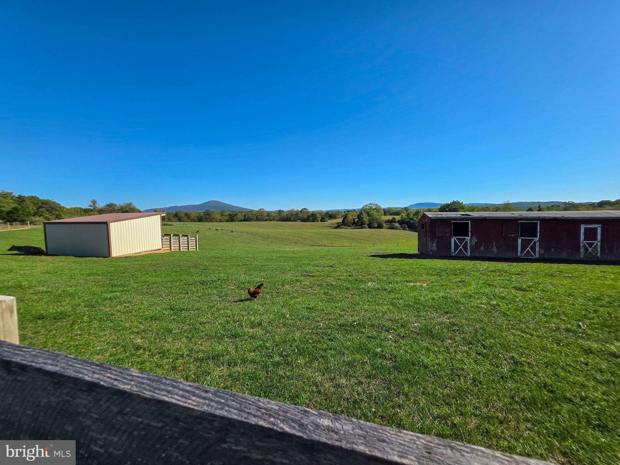 14637 Bain Road Hancock, MD 21750 - Photo 65 of 89