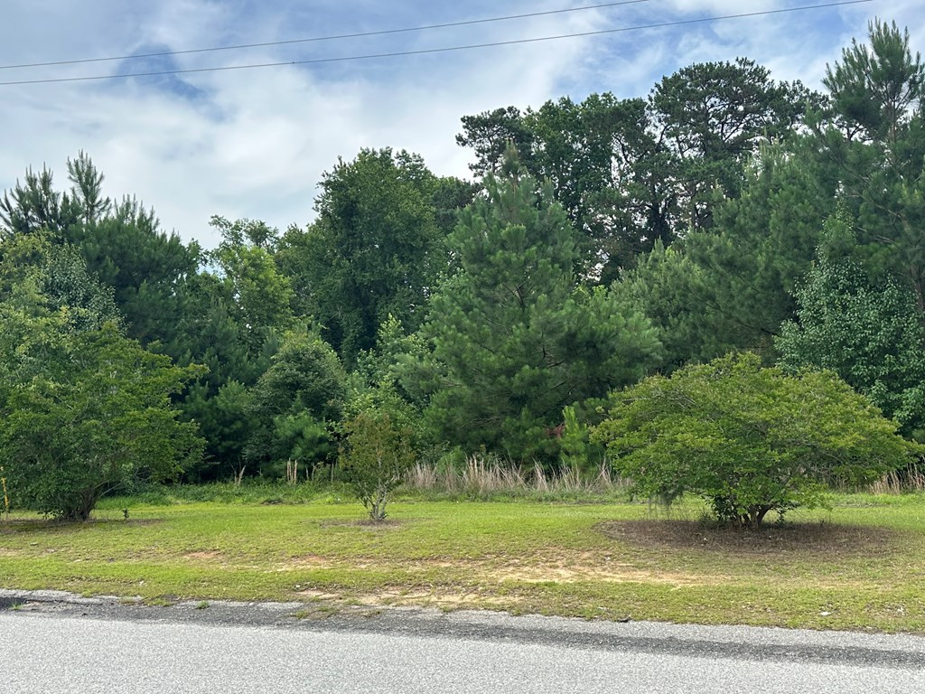 Lot B Atkinson Street Turbeville, SC 29162 - Photo 3 of 5 Gallery Image 3