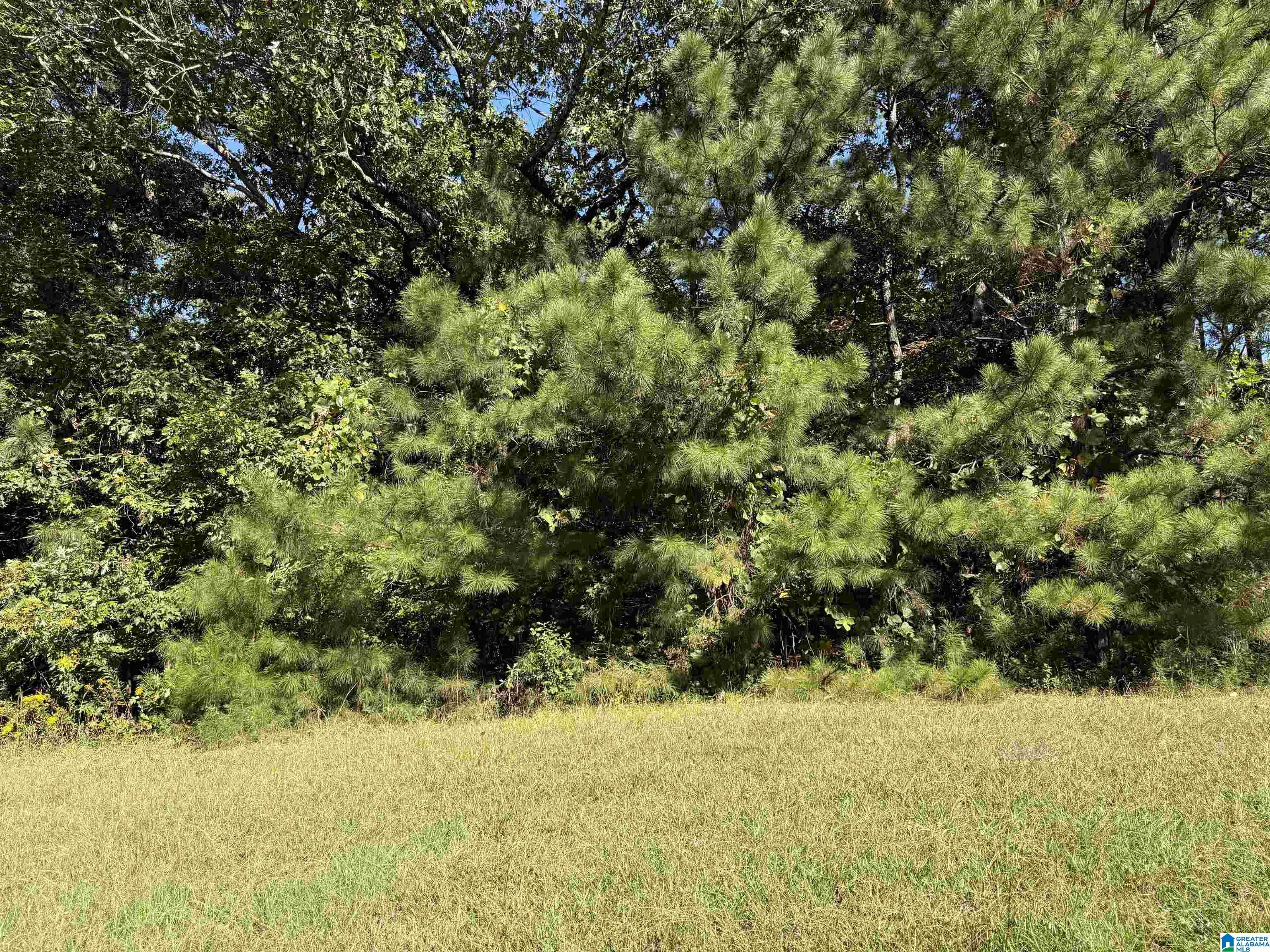 2361 New County Line Road Sylacauga, AL 35151 - Photo 10 of 35