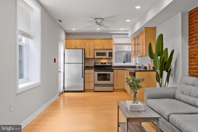 a living room with stainless steel appliances kitchen island furniture and a potted plant