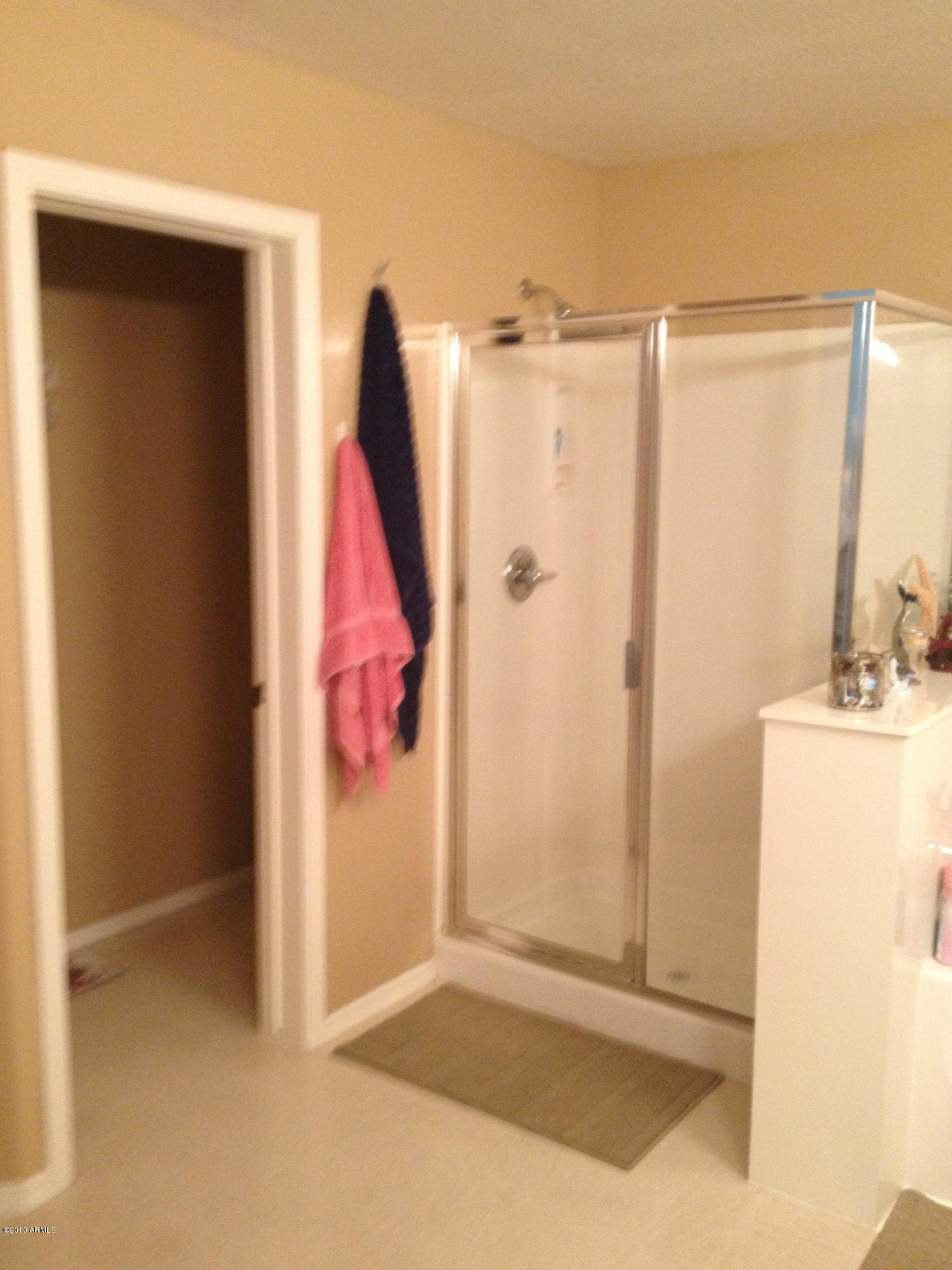 14127 West Bloomfield Road Surprise, AZ 85379 - Photo 11 of 16 2013-08-29 19