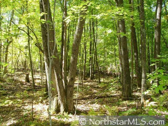 0 Gardner Lake Road Trego, WI 54888 - Photo 1 of 1 Gallery Image 1