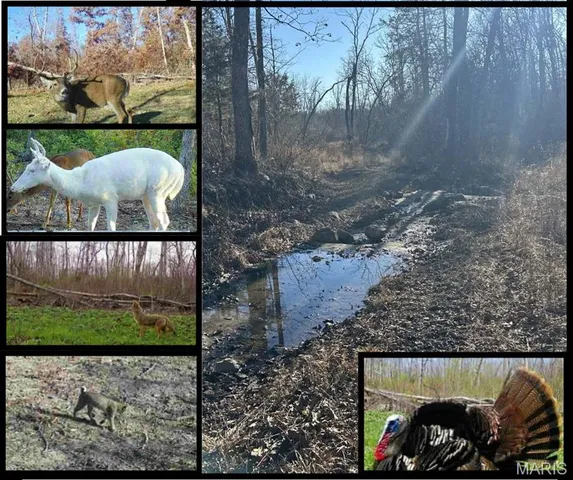 $337,500 | 0 Kitchen Road, Leasburg, MO 65535