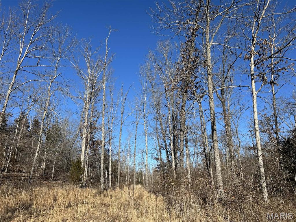 0 Kitchen Road Leasburg, MO 65535 - Photo 12 of 23