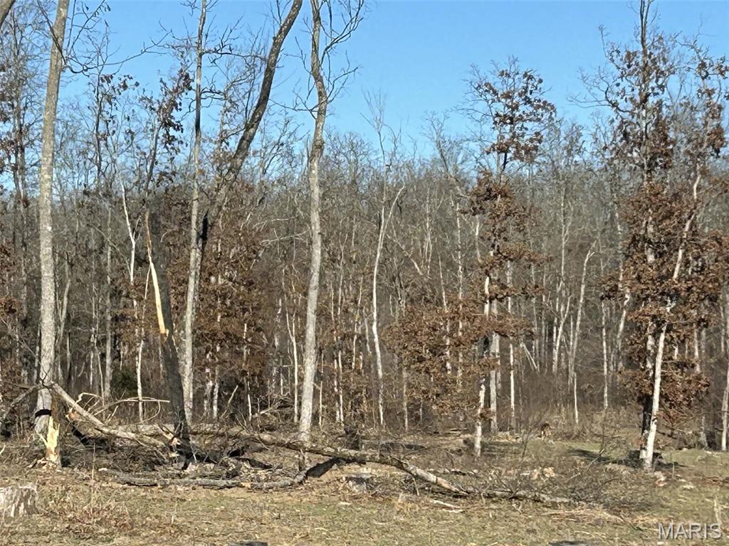 0 Kitchen Road Leasburg, MO 65535 - Photo 13 of 23