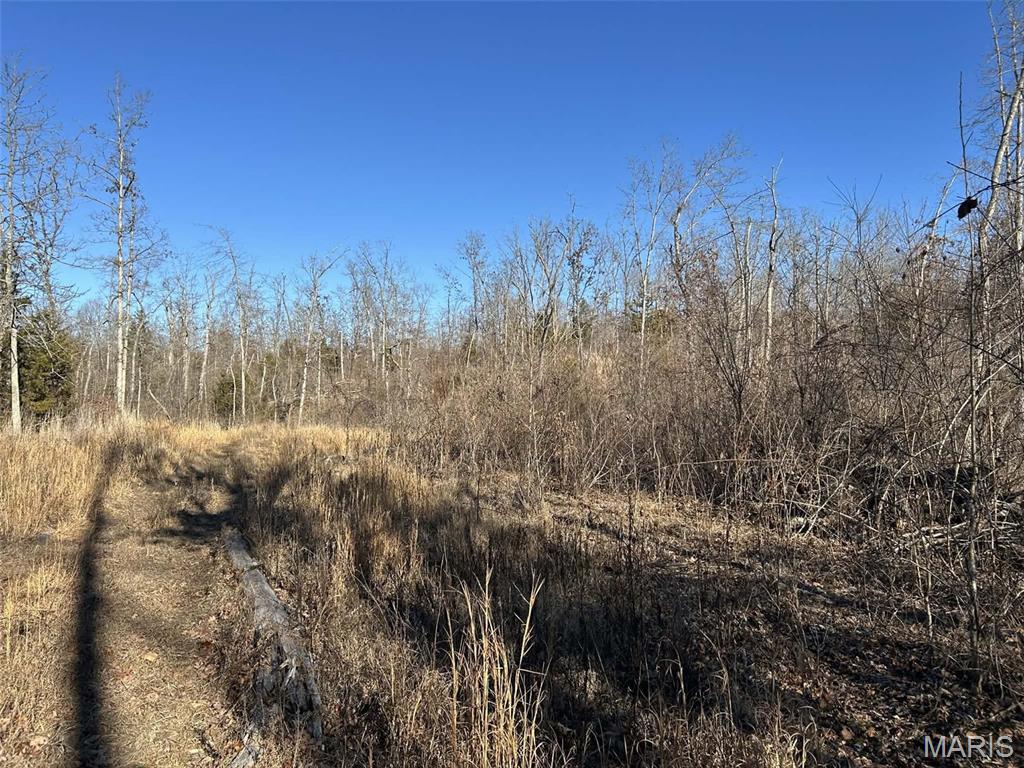 0 Kitchen Road Leasburg, MO 65535 - Photo 14 of 23