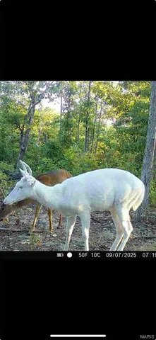 $337,500 | 0 Kitchen Road, Leasburg, MO 65535