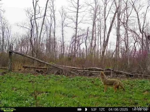 $337,500 | 0 Kitchen Road, Leasburg, MO 65535