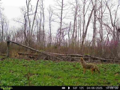 0 Kitchen Road Leasburg, MO 65535 - Photo 18 of 23