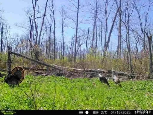 $337,500 | 0 Kitchen Road, Leasburg, MO 65535