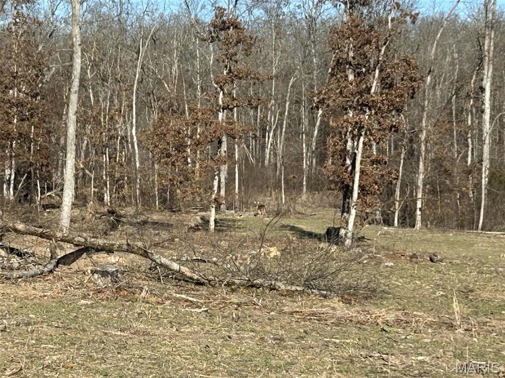 0 Kitchen Road Leasburg, MO 65535 - Photo 2 of 23