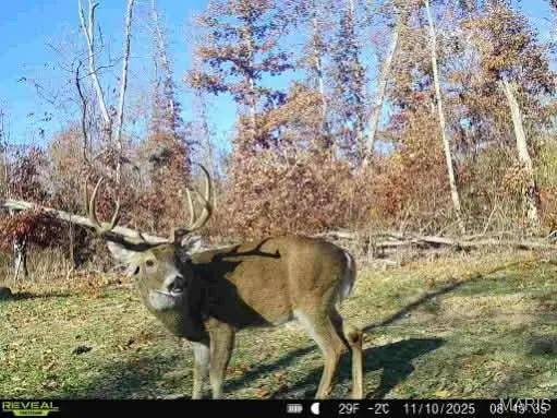 $337,500 | 0 Kitchen Road, Leasburg, MO 65535