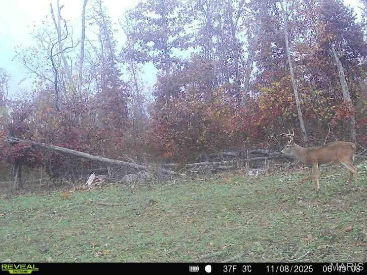 0 Kitchen Road Leasburg, MO 65535 - Photo 22 of 23