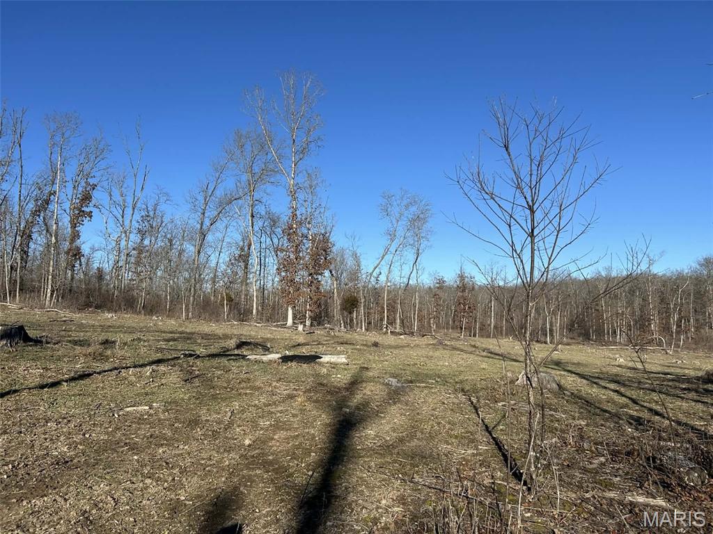 0 Kitchen Road Leasburg, MO 65535 - Photo 4 of 23